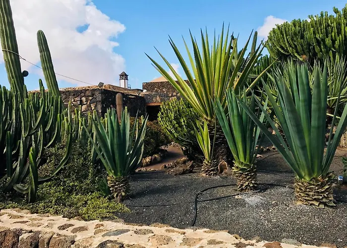 Casa Uma Villaverde (Fuerteventura)