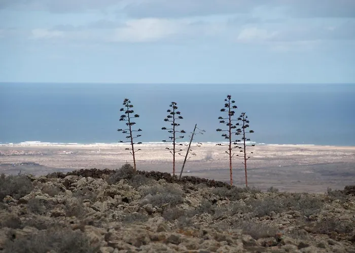 Casa Uma Apartamento Villaverde (Fuerteventura)